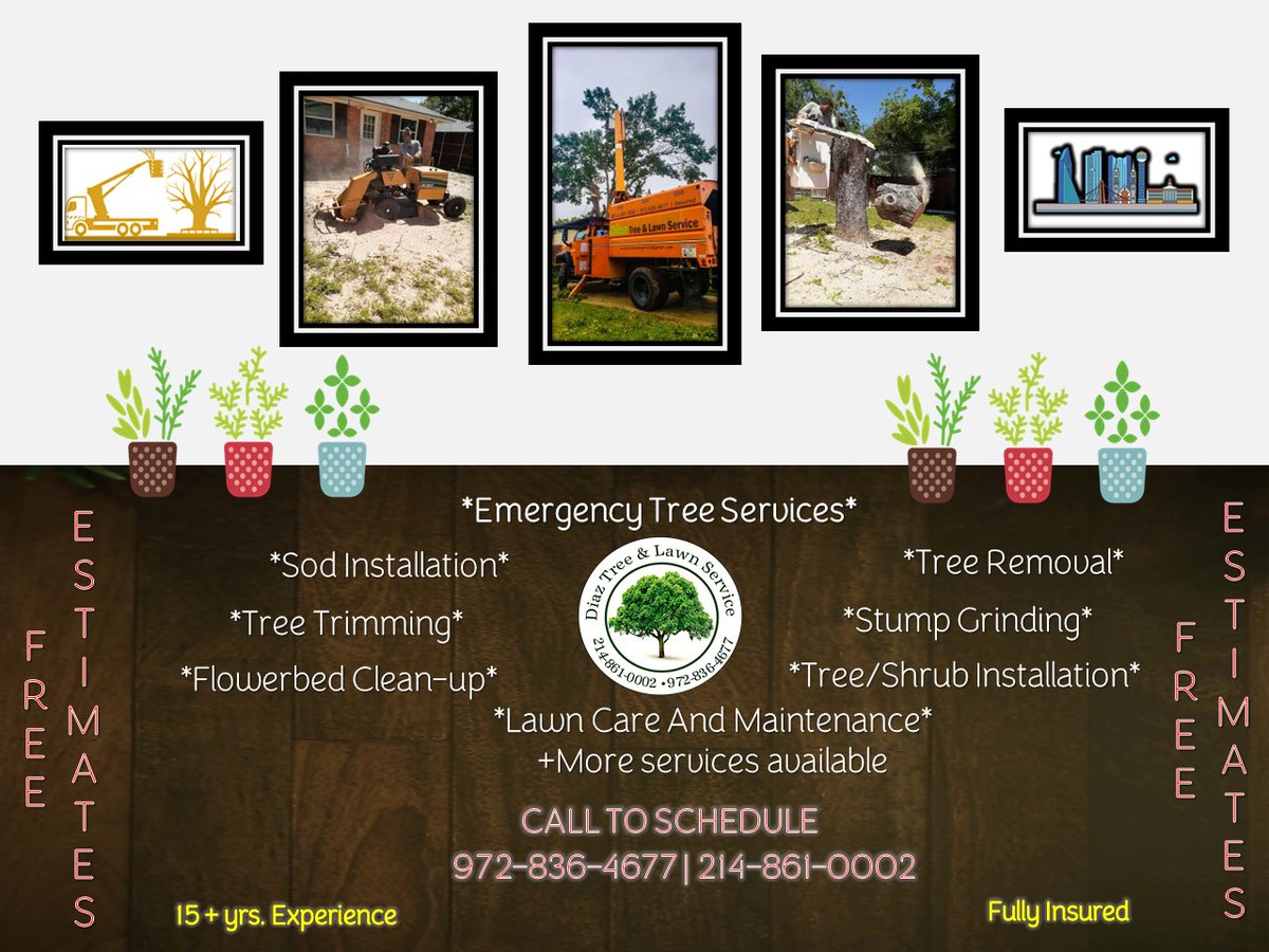Call us today to schedule a free estimate on Tree or Lawn care and services.
214-861-0002 or 972-836-4677
#Diaztreeandlawnservice
#trees #Lawn 
#tree_planters 
#landscapingtips 
#plantlover