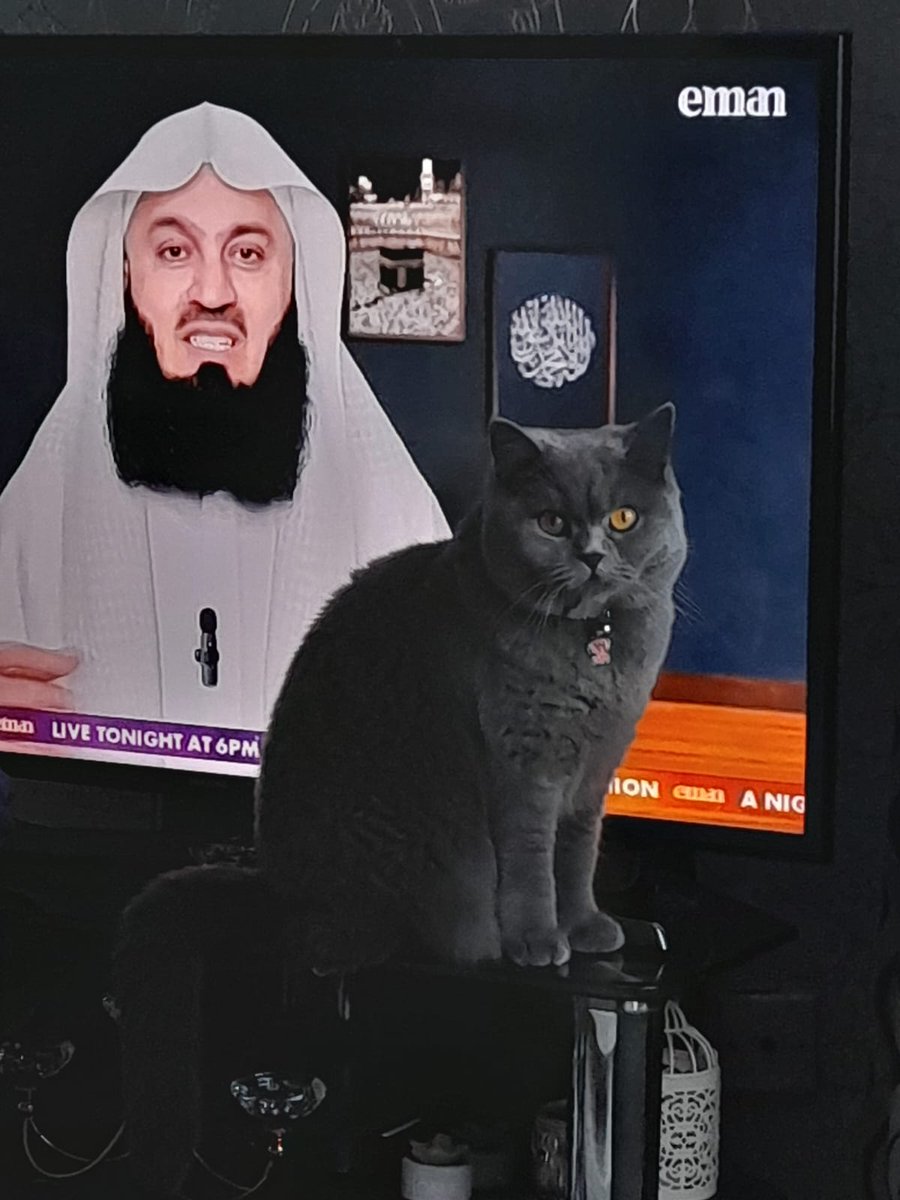 Even Mia is following the New Series. Reviving the Spirit. A Journey through Ramadan with Mufti Menk on YouTube.