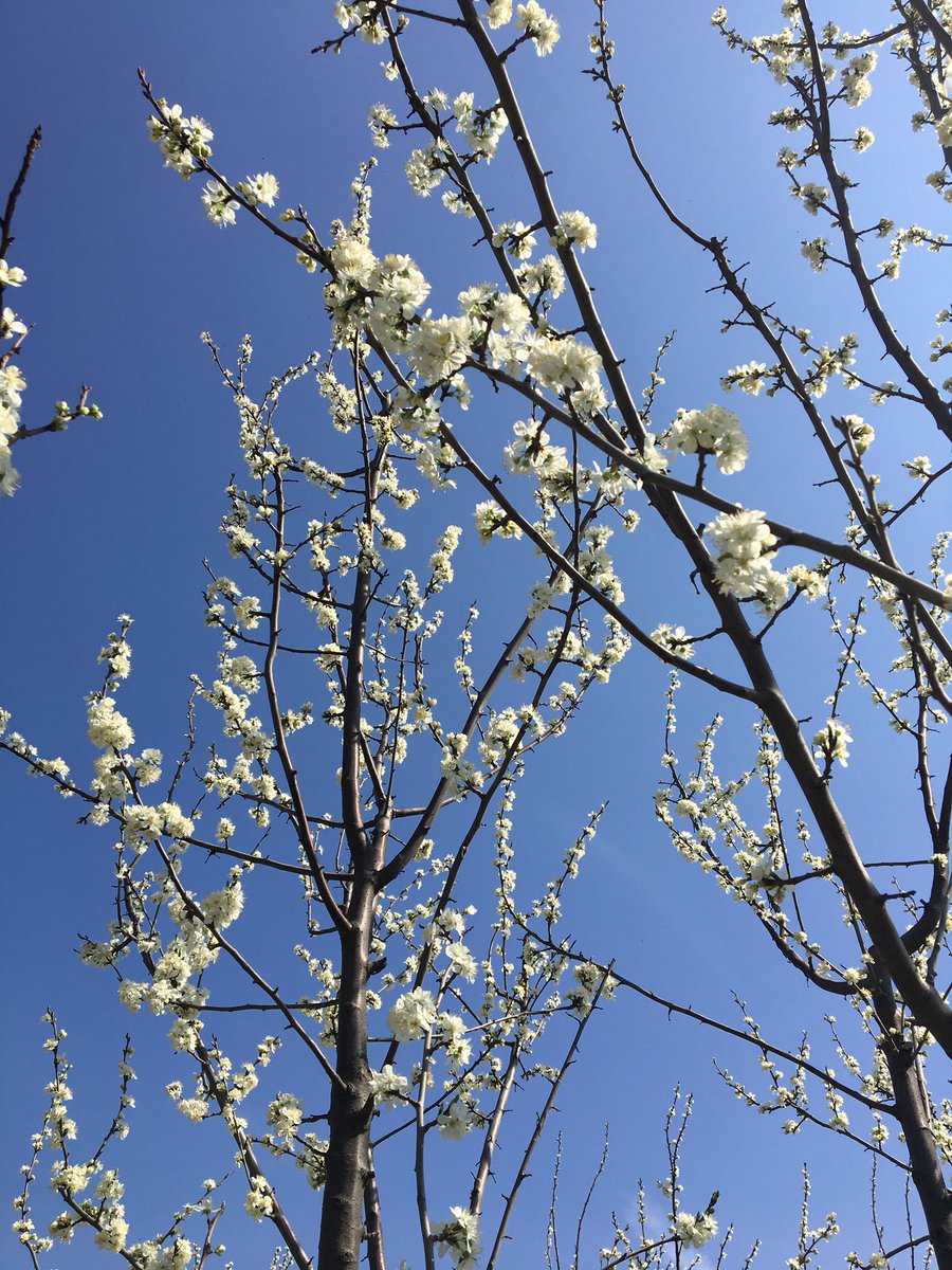 Benim için umut..💜