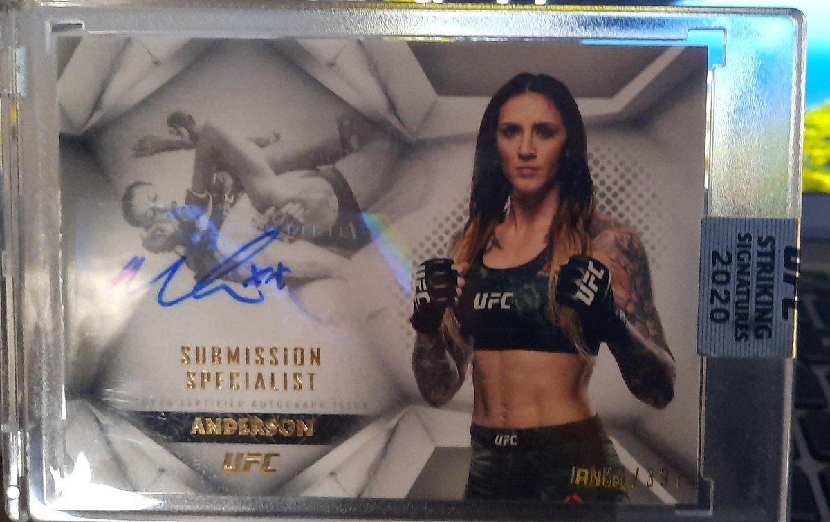 toddalbo tweet media