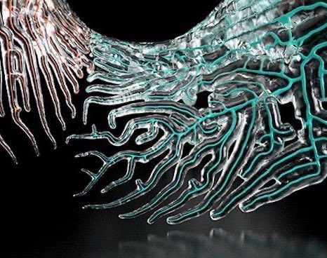 clayden5_luke's tweet image. #Onboardbiofuelstations 
:
🫧🦠🫧🦠🫧🦠🫧
🦠🦠🦠🦠🦠🦠🦠
🦠🦠🦠🦠🦠🦠🦠
🦠🦠🦠🦠🦠🦠🦠
🧪🦠🧪🦠🧪🦠🧪
🧪🫧🧪🫧🧪🫧🧪
🧪🧪🧪🧪🧪🧪🧪
🧪🧪🧪🧪🧪🧪🧪
🖱️🧪🖱️🖱️🖱️🧪🖱️
🖱️🧪🖱️🖱️🖱️🧪🖱️🖱️🖱️🖱️🖱️🖱️
🧪🧪🧪🧪🧪🧪🧪🧪🧪🧪🧪🧪
🖱️🖱️🖱️🖱️🖱️🖱️🖱️🖱️🖱️🖱️🖱️🖱️
#Buildingastomach 
#Solidifying 
#Liquid