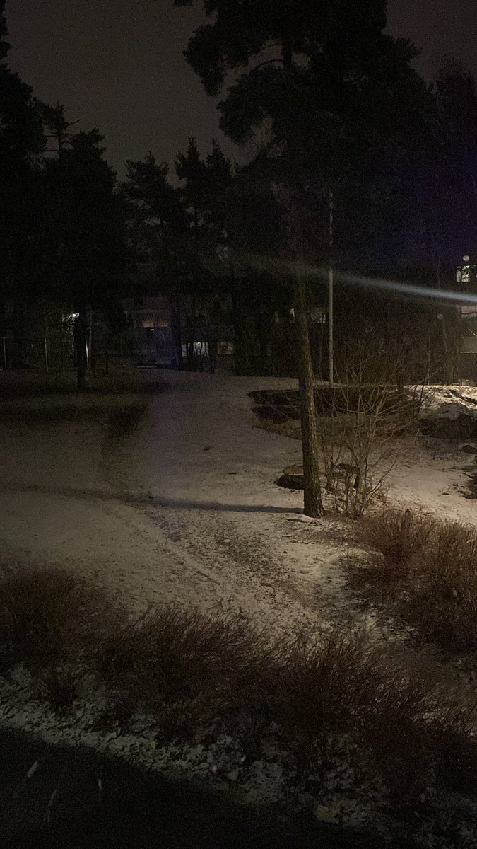 в финляндии наконец-то  закончилась весна и началась полноценная зима