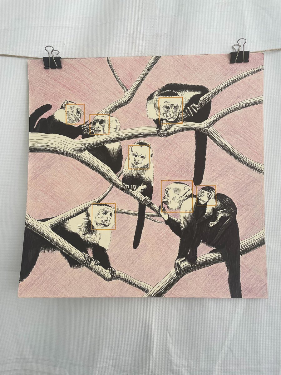 Dr. Marcela E. Benítez 🏳️‍🌈 tweet media