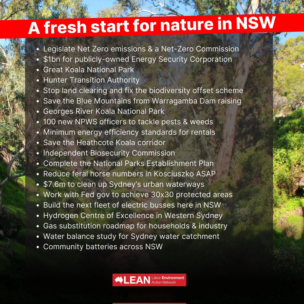 LEAN Australia tweet media