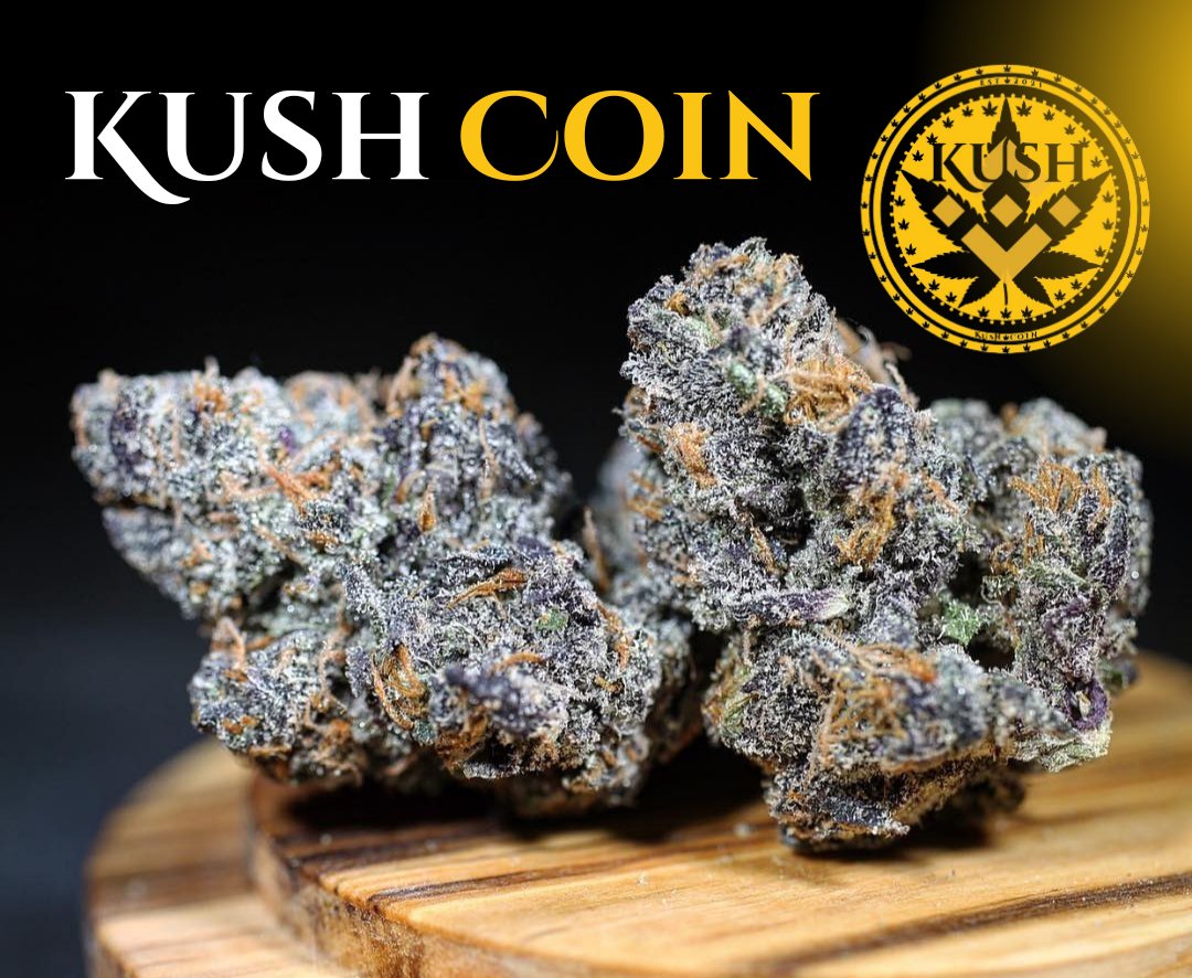 KUSH COIN tweet media