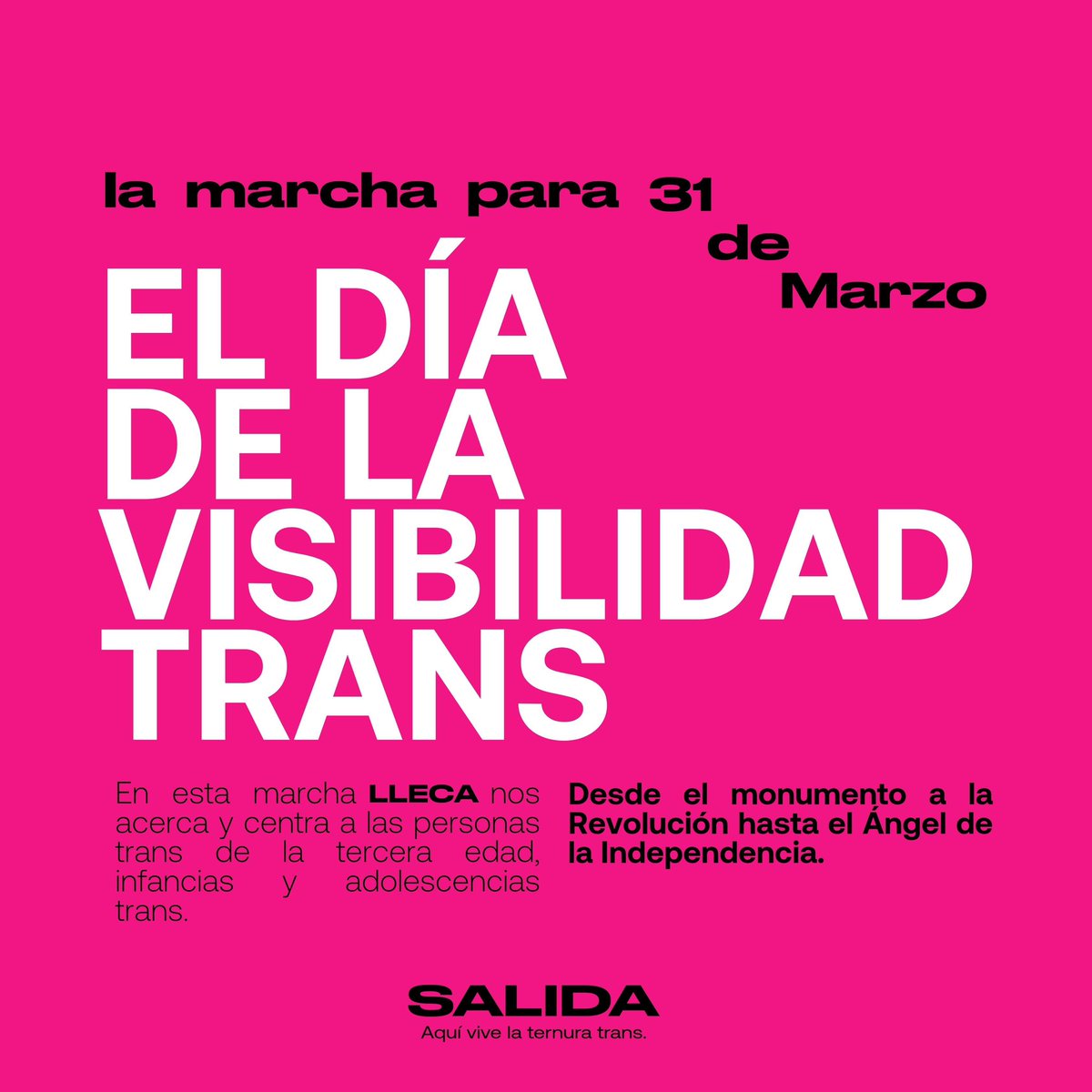 Acompáñanos en la marcha el próximo viernes 31.

En esta marcha <a href="/lleca_org/">LLECA - Escuchando la Calle</a> nos acerca y centra a las personas trans de la tercera edad , infancias y adolescencias trans. 🏳️‍⚧️💕