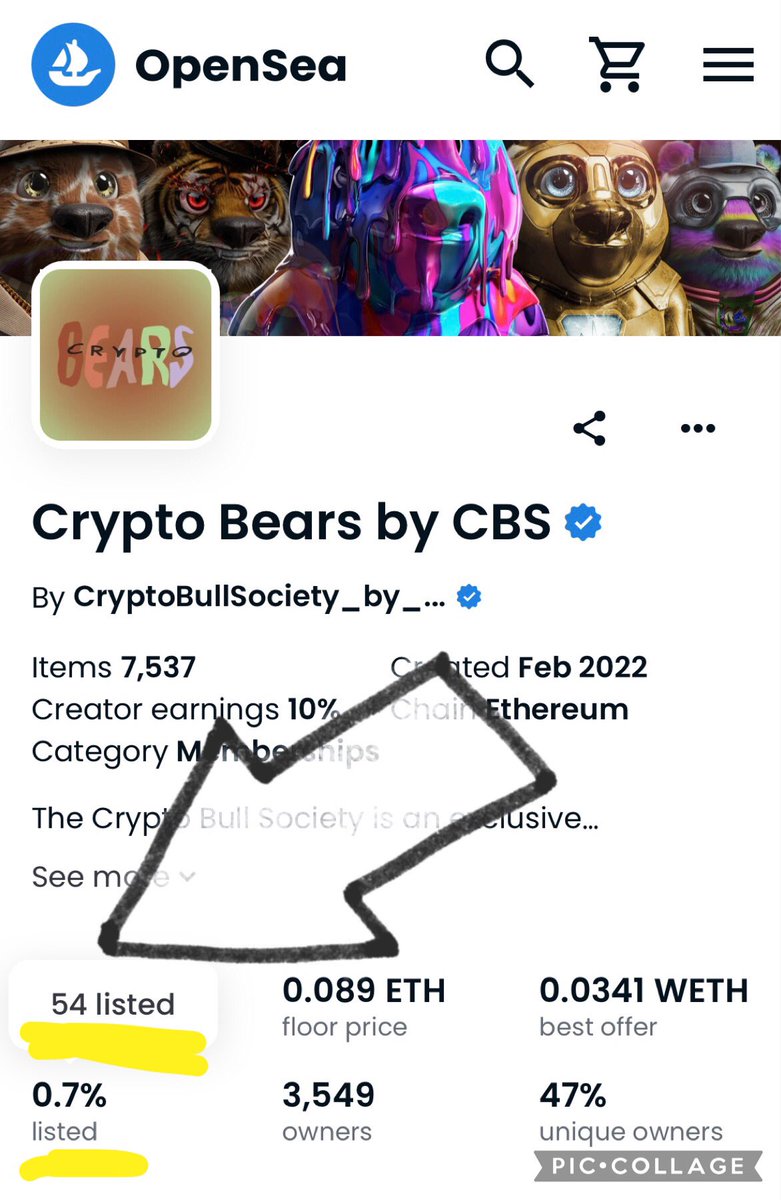CryptoCranium4's tweet photo. Itβs only a matter of time before @Crypto_Bull_Soc get back to the big time π€©ππ»#CBSStampede https://t.co/8AqFkiJ3I9