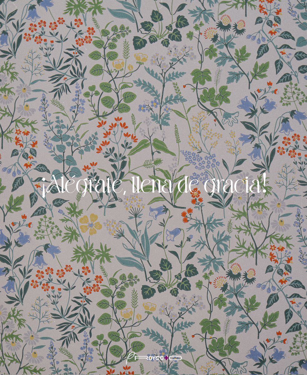 No temas, María, porque has hallado gracia ante Dios. Vas a concebir y a dar a luz un hijo y le pondrás por nombre Jesús. Él será grande y será llamado Hijo del Altísimo; el Señor Dios le dará el trono de David, su padre, y él reinará sobre la casa de Jacob por siglos.