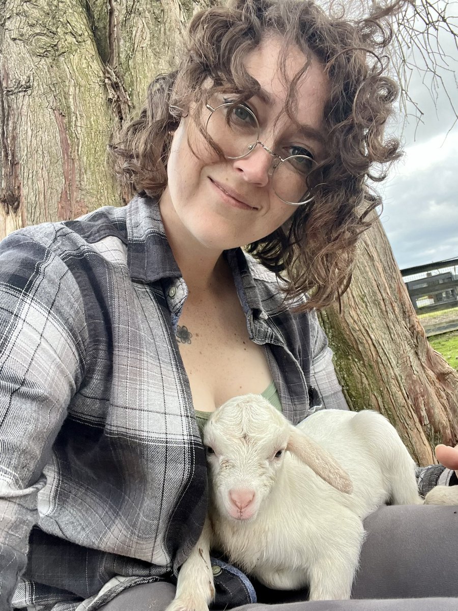 BrandyBrackium's tweet photo. Baby goat do do do do do do do. I proposed the names Goatzilla and Baaab Ross. https://t.co/MPPuAX8ggL