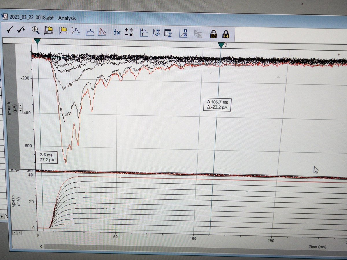 Mechanically activated currents from treated neurons 😁