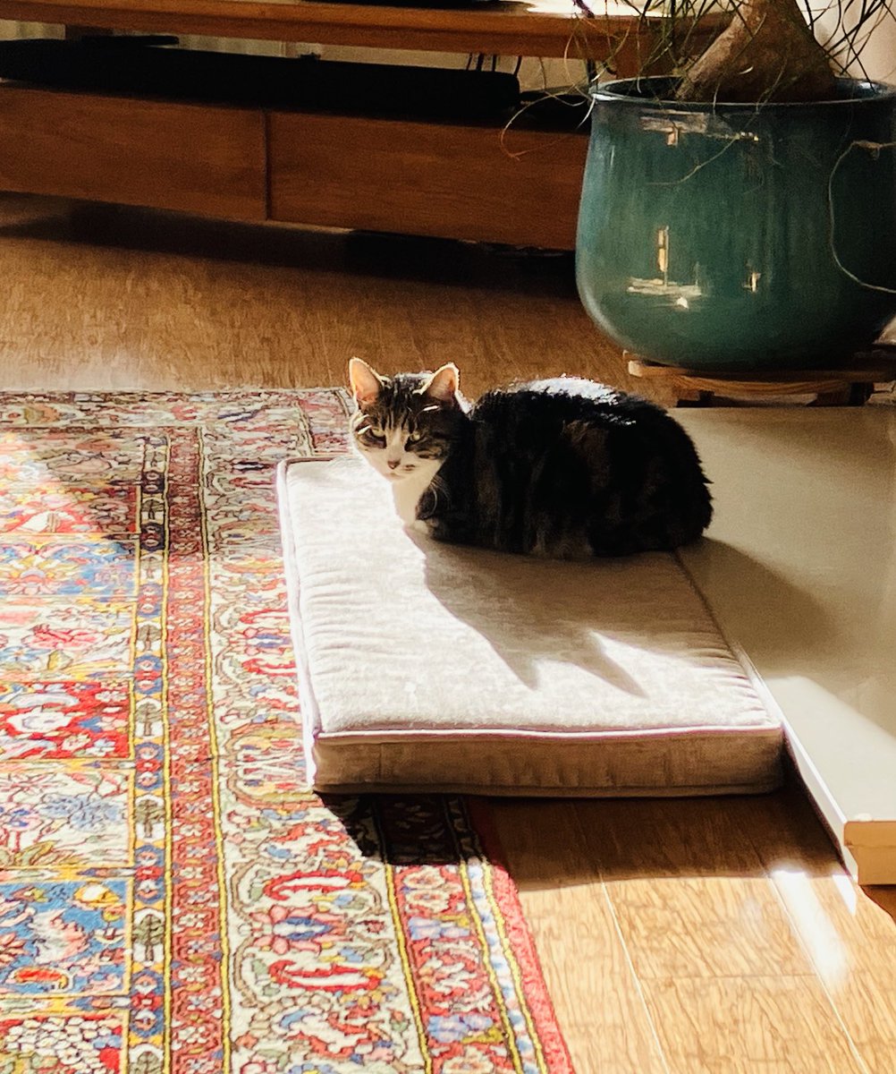 Sunbathing ..😊