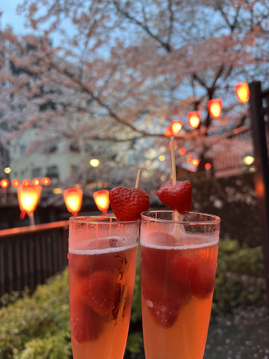 keiko4820's tweet photo. 目黒川の桜まつり
ぐんちゃんの提灯
たくさん💕🥰
#チャングンソク
#JKS 
#jangkeunsuk 
@AsiaPrince_JKS 
見に行けてよかった。
素敵です。 https://t.co/b62osYEWsA