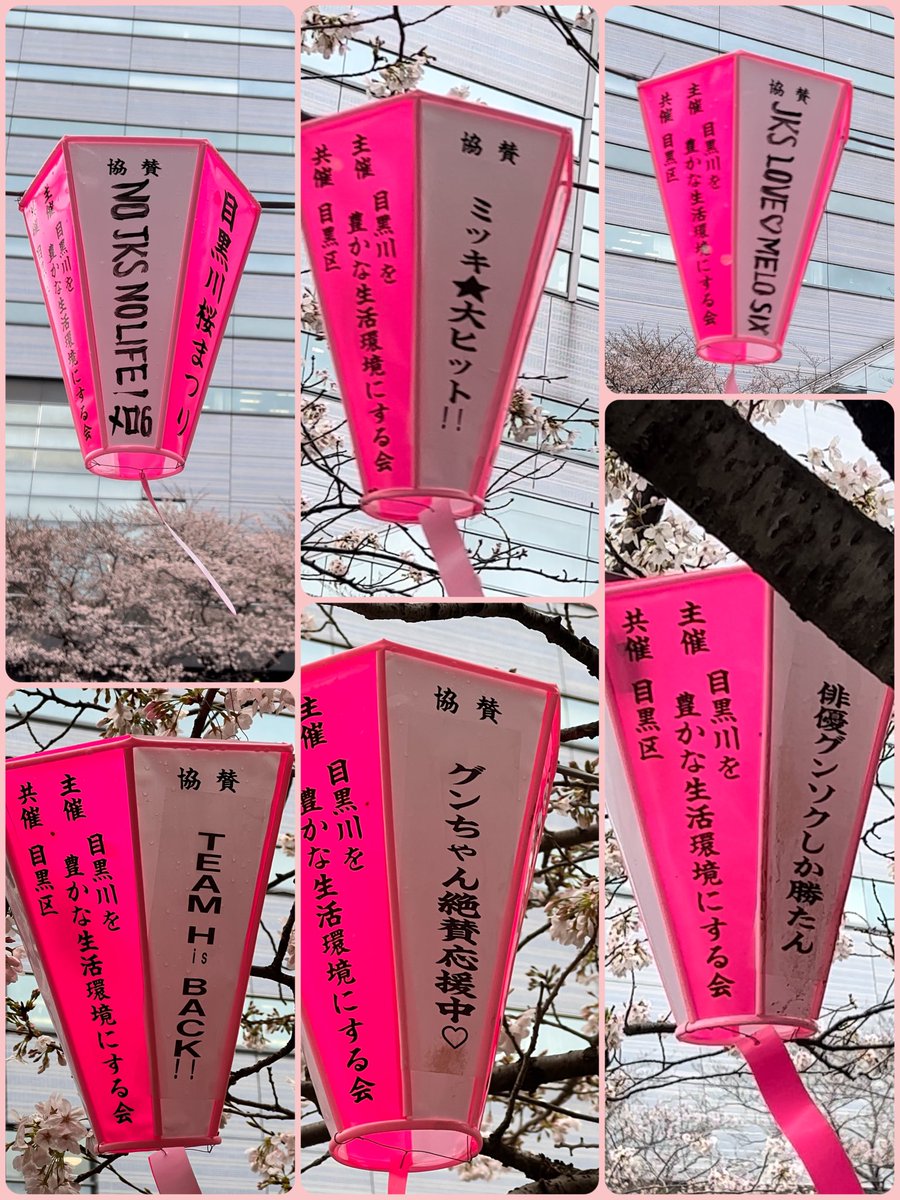 keiko4820's tweet photo. 目黒川の桜まつり
ぐんちゃんの提灯
たくさん💕🥰
#チャングンソク
#JKS 
#jangkeunsuk 
@AsiaPrince_JKS 
見に行けてよかった。
素敵です。 https://t.co/b62osYEWsA