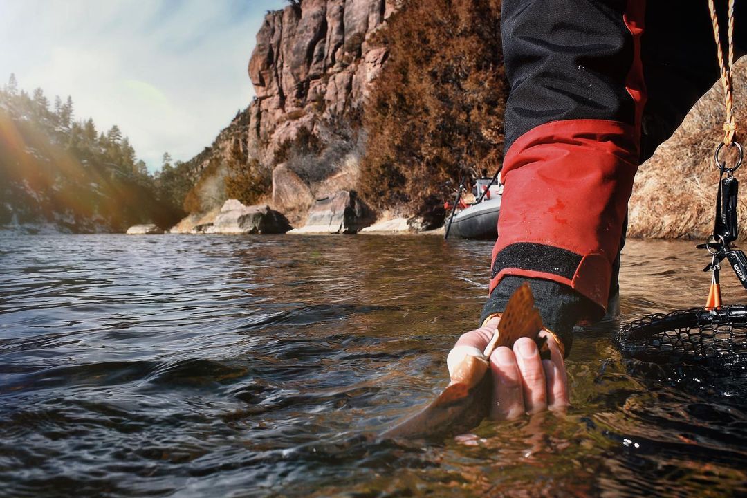 Streamers season all season! #streamerjunkie #flyfishing #streamerfishing