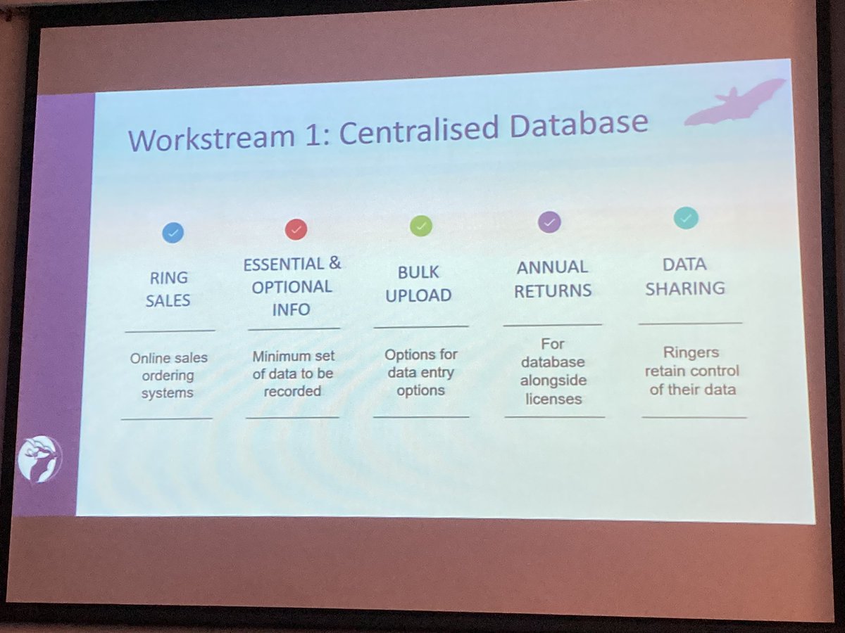 _sarahbutcher's tweet photo. So good to hear that the centralised ringing database is about to come on-stream. Will save lots of emailing around all the likely people who might have found the bat before you! Thank you @BattyLisa #Swbatconf https://t.co/7XyVnVvoCf