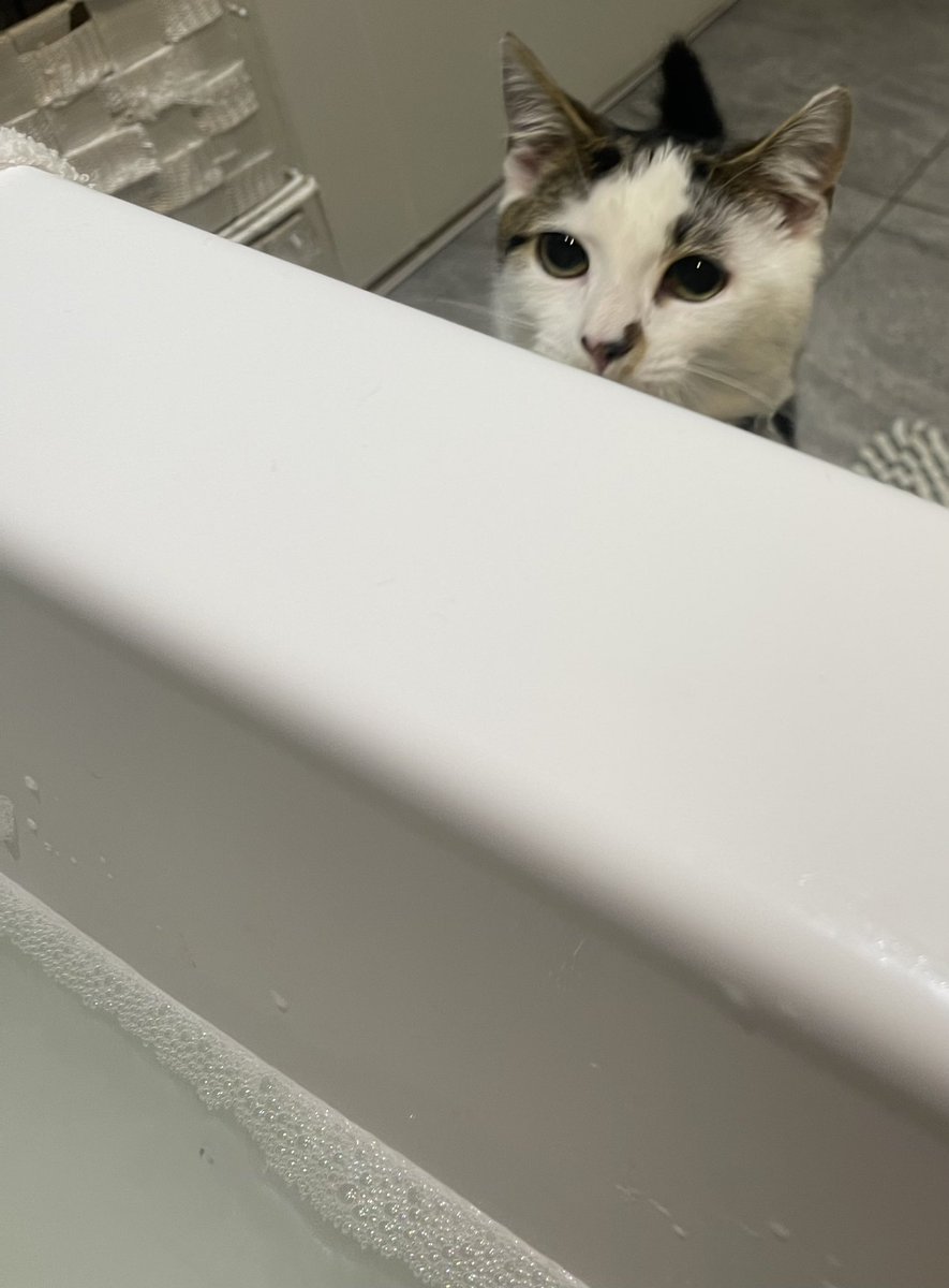 𝖘𝖊𝖓𝖘𝖊𝖎🐉 tweet media