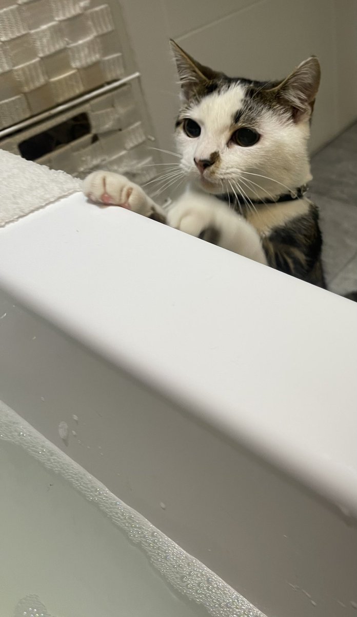 𝖘𝖊𝖓𝖘𝖊𝖎🐉 tweet media