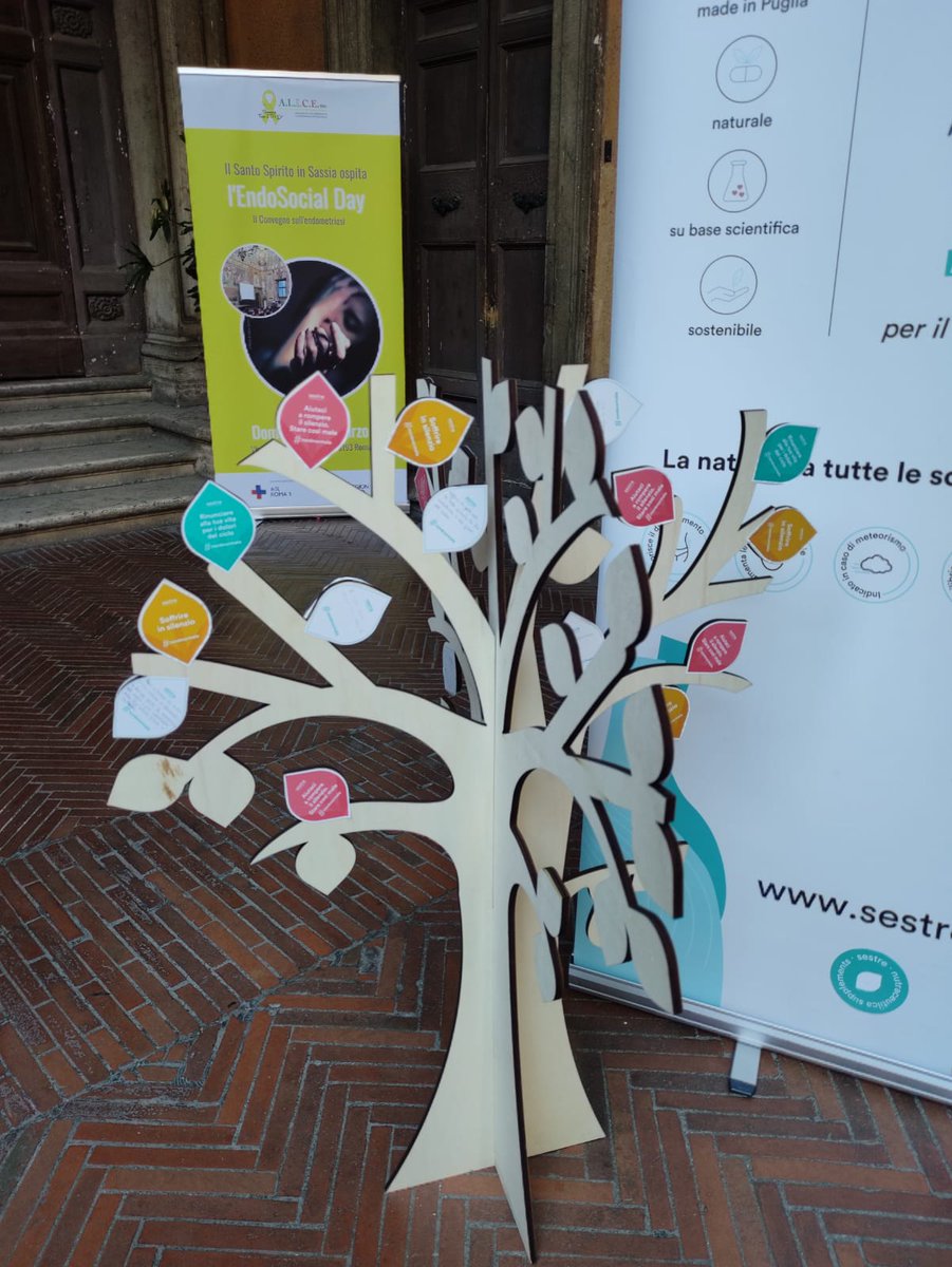 🎤  Pomeriggio all’insegna dello spettacolo presso il Complesso Monumentale Santo Spirito in Sassia. Un susseguirsi di eventi in occasione del week end della consapevolezza sull’endometriosi

<a href="/RegioneLazio/">Regione Lazio</a> #aslroma1 #SantoSpiritoinSassia #prevenzione #endometriosi #endosocialday