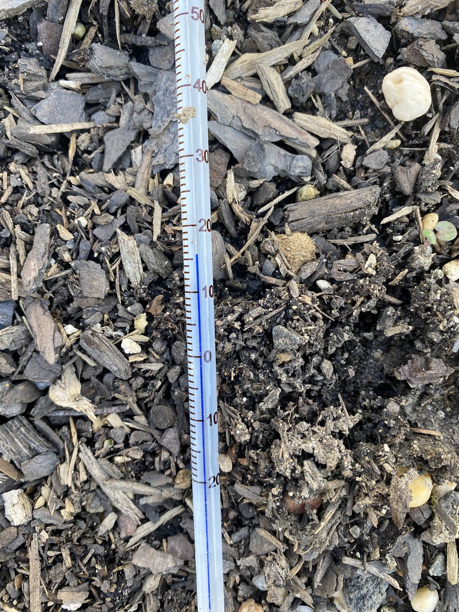 MHKProjectGreen's tweet photo. 6th grade science classes visited our garden this week to determine the warmest spot for seeds to germinate. Our data, communicated through graphs &amp; CERs, were in clear agreement; the cold frame &amp; jugs are the warmest! The cold frame was over 100 degrees Fahrenheit! @EWRSDK12 https://t.co/Y4XJX4iMub