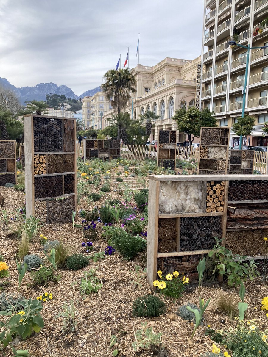 LesEntDuPaysage's tweet photo. Visites des jardins de Menton pour clôturer cette journée. #FestivalJardins06 @villedementon https://t.co/JNoSS2ysKn