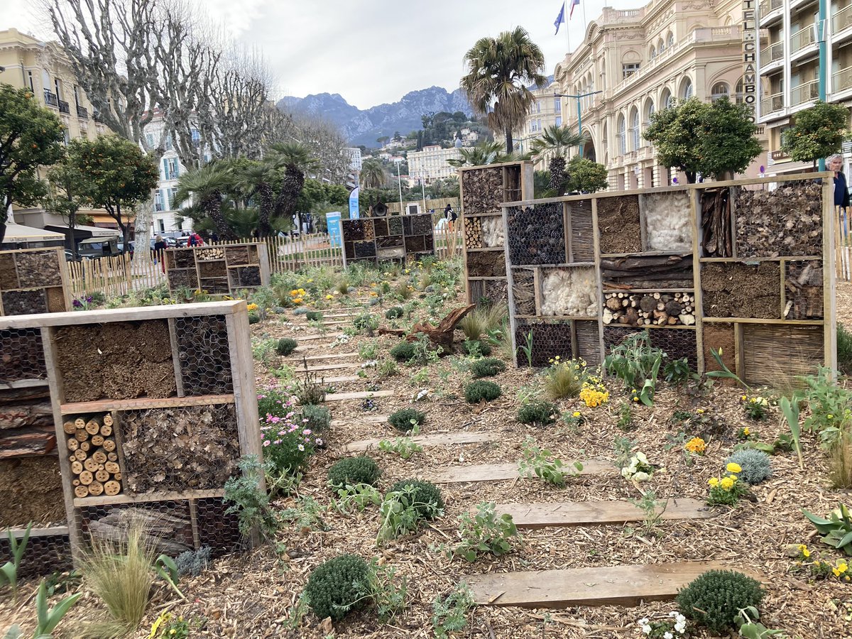 LesEntDuPaysage's tweet photo. Visites des jardins de Menton pour clôturer cette journée. #FestivalJardins06 @villedementon https://t.co/JNoSS2ysKn