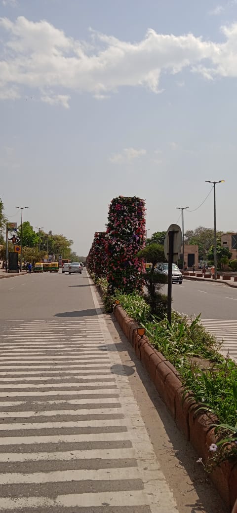 chellaiahndmc's tweet photo. #flowertower #NewDelhi #SmartCity #smartcities #bloom #blossom #petunia #green #beautifulcity #ndmc #mohua https://t.co/PBs1dPbXPb