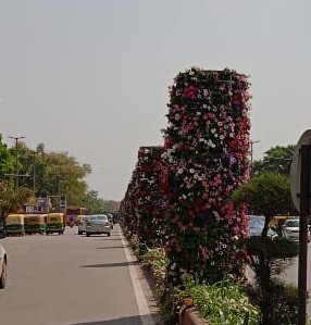 chellaiahndmc's tweet photo. #flowertower #NewDelhi #SmartCity #smartcities #bloom #blossom #petunia #green #beautifulcity #ndmc #mohua https://t.co/PBs1dPbXPb