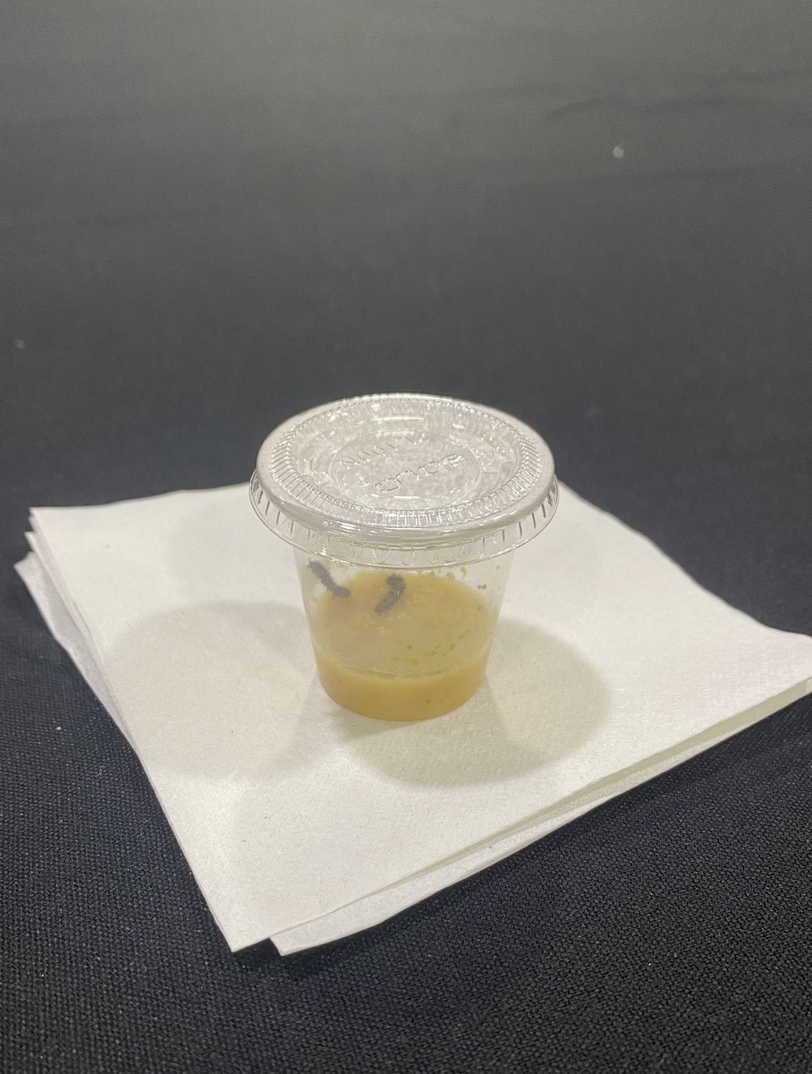 Ms. Felegian tweet media