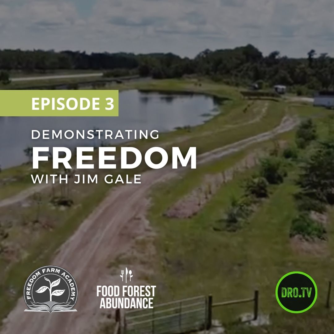 FFAbundance's tweet image. Episode 3 of Demonstrating Freedom with Jim Gale

Jim talks about his using plant medicine, and why we need to stop using poisons like glyphosate on our lawns and food.

youtube.com/watch?v=ZaJXU3…

#freedom #growingfood #Permaculture