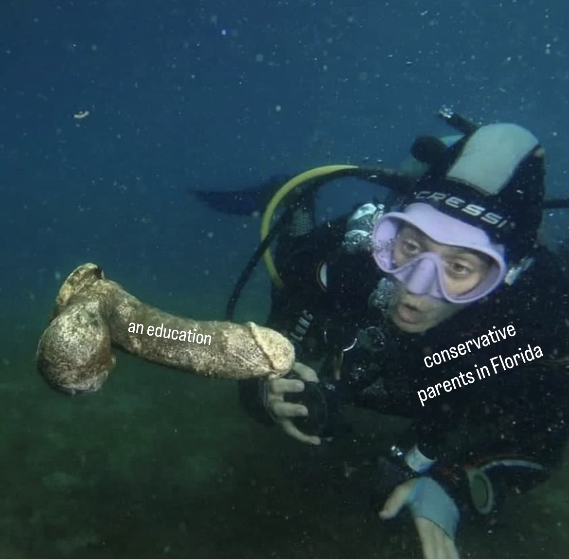 Feminist Flag Corps tweet media