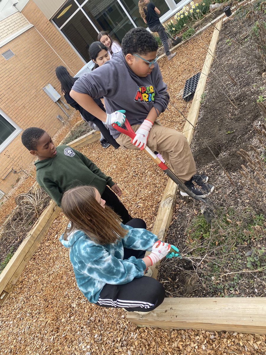 MHKProjectGreen's tweet photo. With rain on the way, we hustled to split apart and transplant our returning perennials.  How fun to see how a little attention can make one plant become two!  @EWRSDK12 https://t.co/oPstSCYZYX