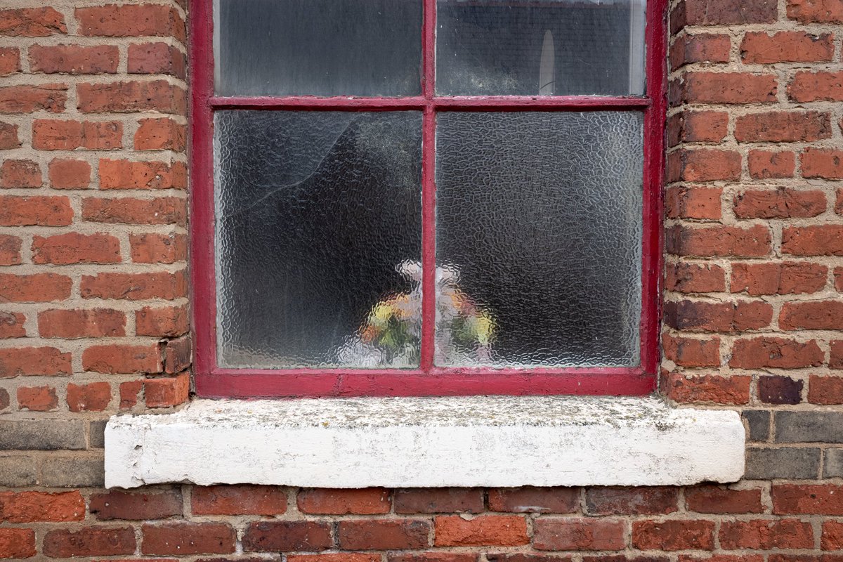 ᴘʜɪʟ ᴋɴᴇᴇɴ 🇮🇲 tweet media