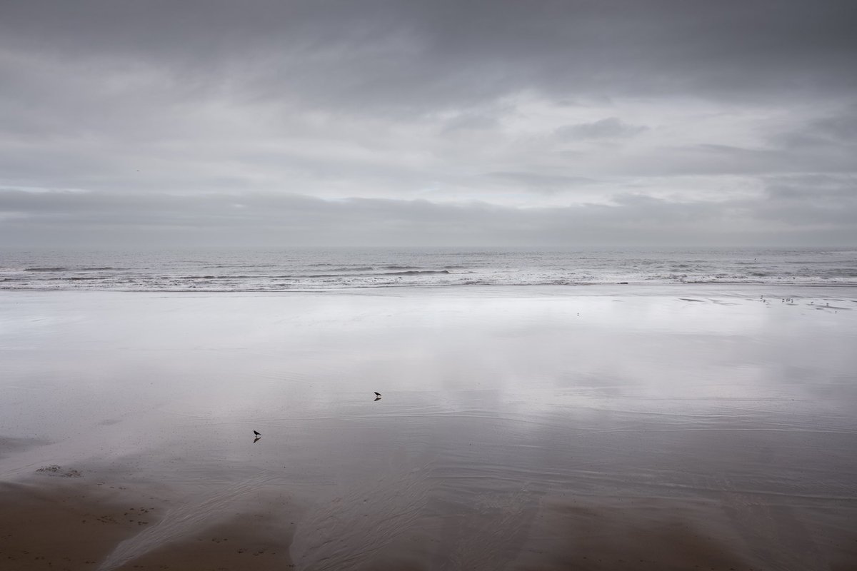 ᴘʜɪʟ ᴋɴᴇᴇɴ 🇮🇲 tweet media