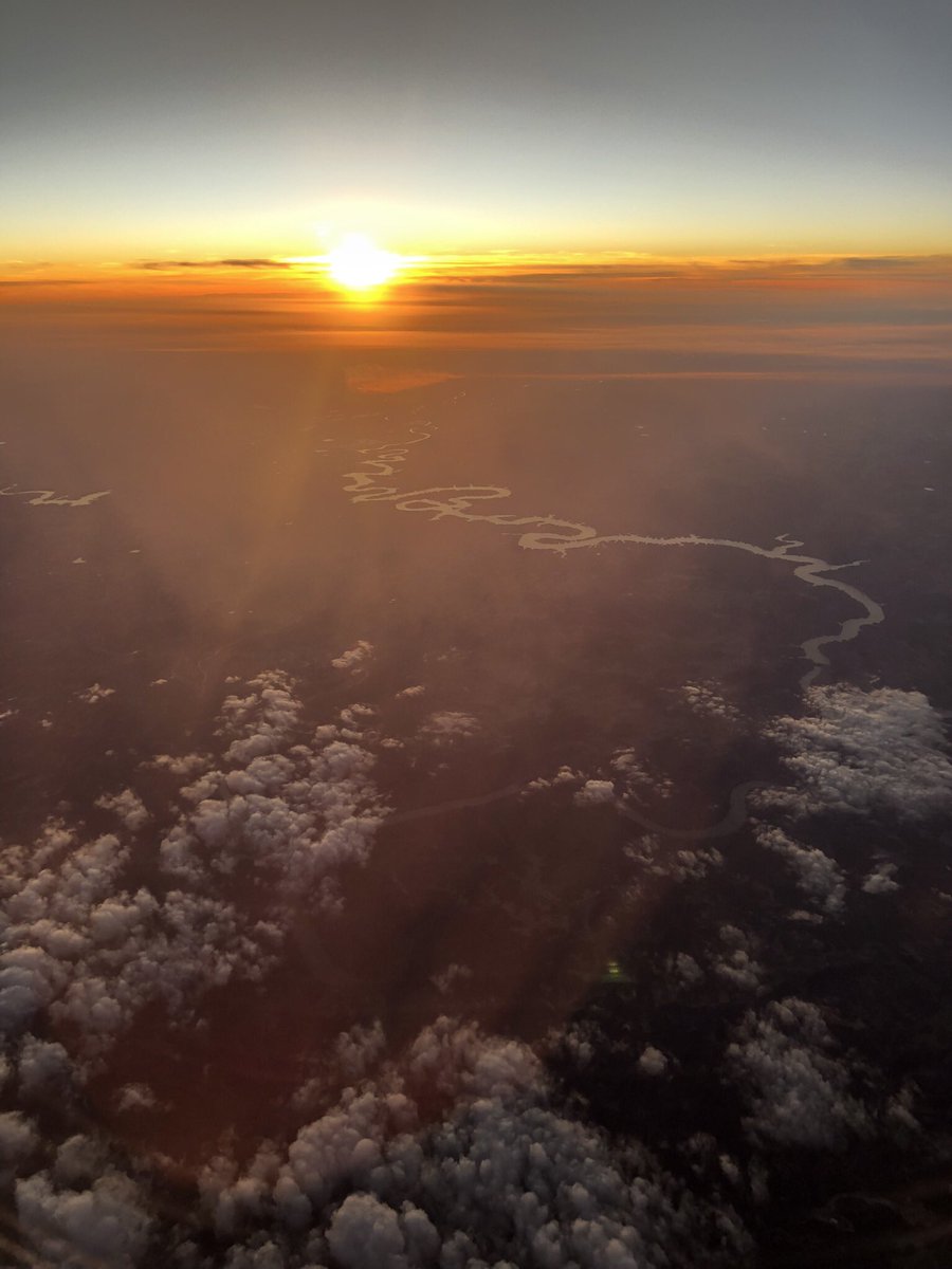 Julia Kang tweet media