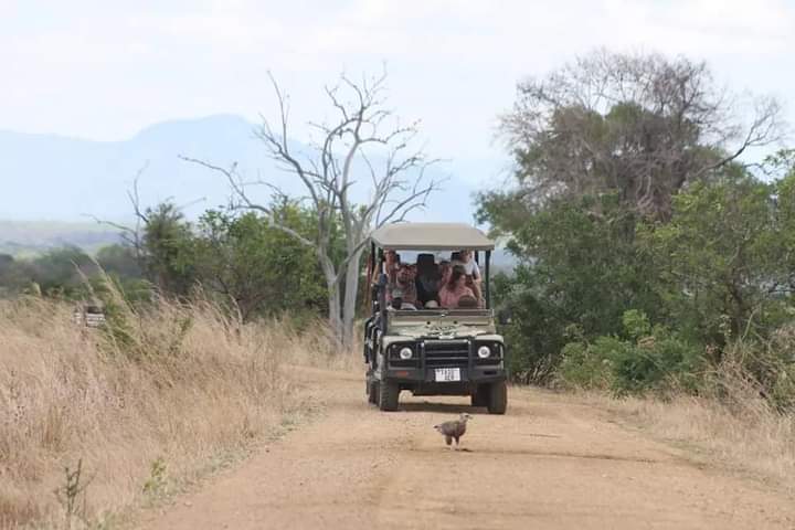 Adventure is good for the soul. #mikuminationalpark #tanzaniasafari #tanzaniaunforgettable #tanzaniatravel #tanzaniaparks #gamedrive #gamedrivesafari