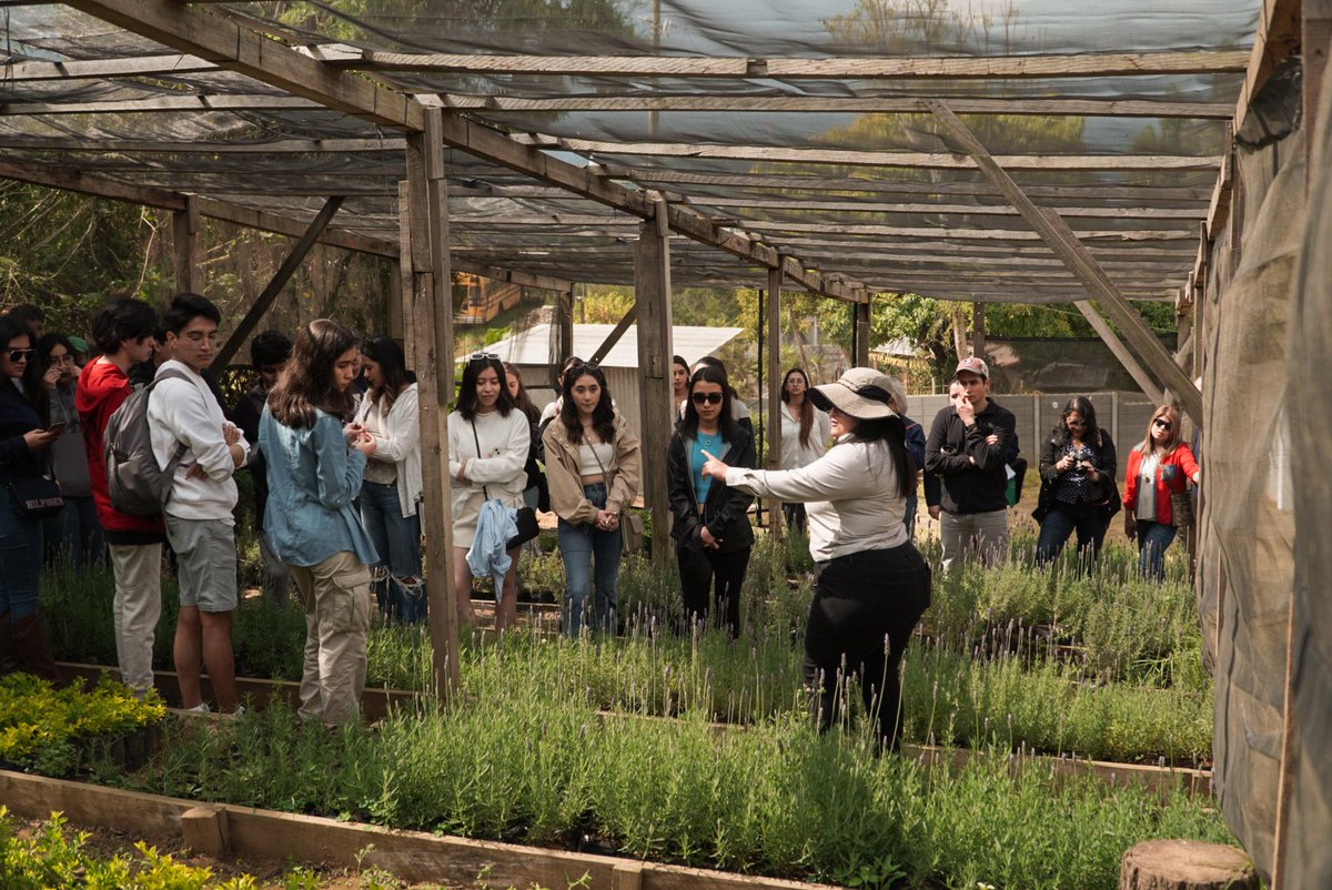 AlianzasAG's tweet photo. En el marco de @ASPIRE_Proyecto, financiado por 
@USAIDGuate, implementado por @MIT, @uvggt
y @AGEXPORTGT, se realizó una visita de reconocimiento en Jardines de Provenza , con estudiantes de Microbiología General, para la extracción eficiente de aceite de lavanda ✅️ https://t.co/B8x9Tjr3Ip