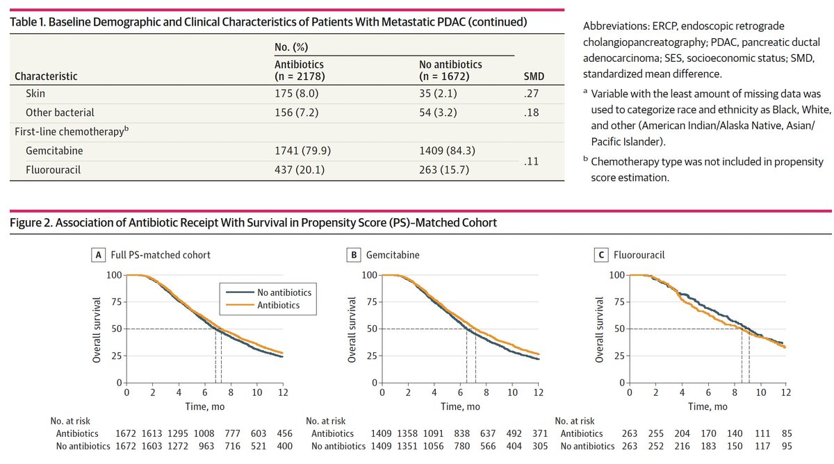 ArndtVogel's tweet photo. 🔥Association of Antibiotic With Survival Among Patients With #PDAC Receiving Chemotherapy
@JAMANetworkOpen 
https://t.co/13N0i7rAGX
🔎🇺🇸3850 pts -> 2178 with antibiotics
👉⬆️ OS among pts treated with gemcitabine, but not 5-Fu
🤔And now? Enough RWE for prospective trial?
@myESMO