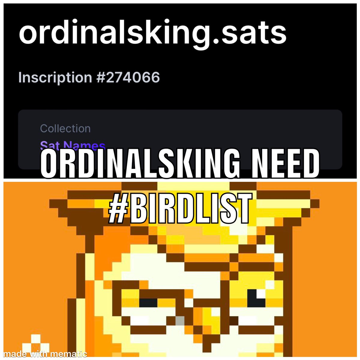 NF50collector's tweet photo. @bitcoinbirds_ #birdlist needed ✅ https://t.co/DrnqGJ32Db