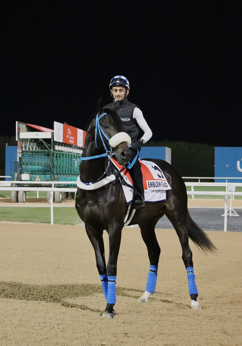 GREAT RACE EMBLEM ROAD.
Congratulations @adeel1451 for such an amazing ride.
So proud