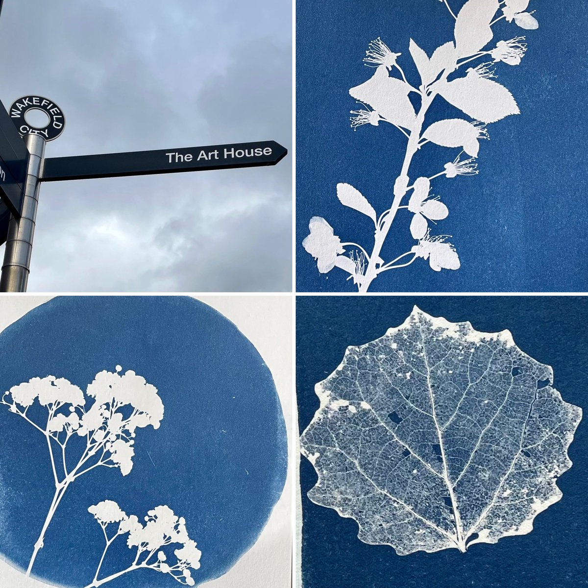 lmclea2's tweet photo. Fab Saturday learning how to make cyanotype prints @TheArtHouseUK with Kirstie Williams. Thanks @denisejarrett - you should definitely do it when the time’s right. #cyanotype  #prints #blue #blossom #leafskeleton #gypsophila #wakefield #workshop #art #craft #hobby #printmaking https://t.co/MKQESkDzcM