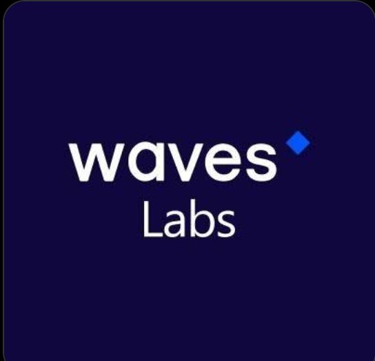 LindaOkoye15's tweet photo. With the help of excellent programmers and business owners, #WavesLabs, a startup incubator, wants to help them develop creative decentralized applications using the #Waves blockchain platform. #WavesArmy https://t.co/FsscaHZE5w