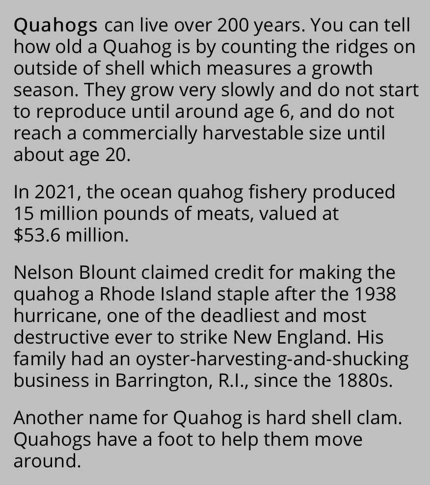 RINewsToday's tweet photo. Did you know?
#Quahogs #RhodeIsland #clams #Blount #DidYouKnow https://t.co/LuSKux1S7f