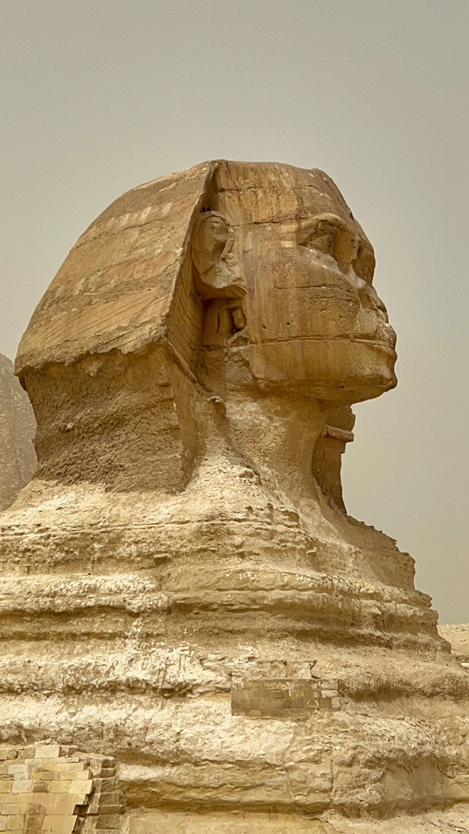 Cattan2011's tweet photo. Day 2 - Great Sphinx of Giza, Cairo, a camel ride  #nature #nature photography #naturegeography #natureza #travel #travelphotography #travelgram #traveltheworld #instagram #webstagram #ig_egypt #enjoyegypt  #egypt #culture #culturetrip #tradational #desert https://t.co/E6iMmVckvI