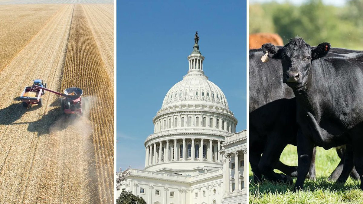 GeorgiaTwine's tweet photo. 7 ag stories you can’t miss – March 24, 2023 https://t.co/w44qkyaut5 https://t.co/j7VnTWWZaK