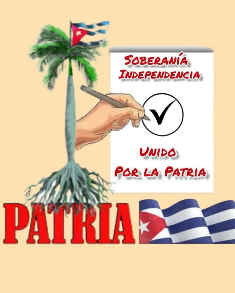 El voto unido significa, cumplir con el concepto de Revolución que definió nuestro Comandante #YoVotoPorTodos.