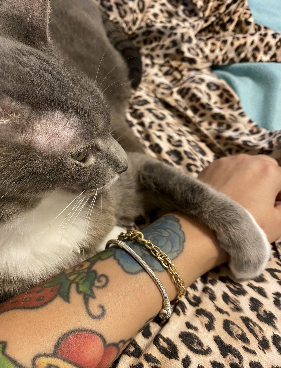 𝒜𝓃𝑔𝑒𝓁🪽 tweet media