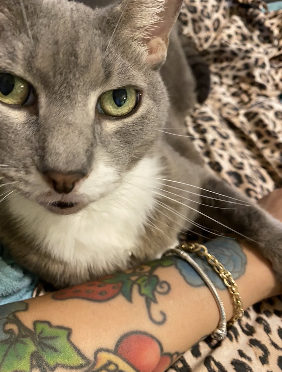 𝒜𝓃𝑔𝑒𝓁🪽 tweet media