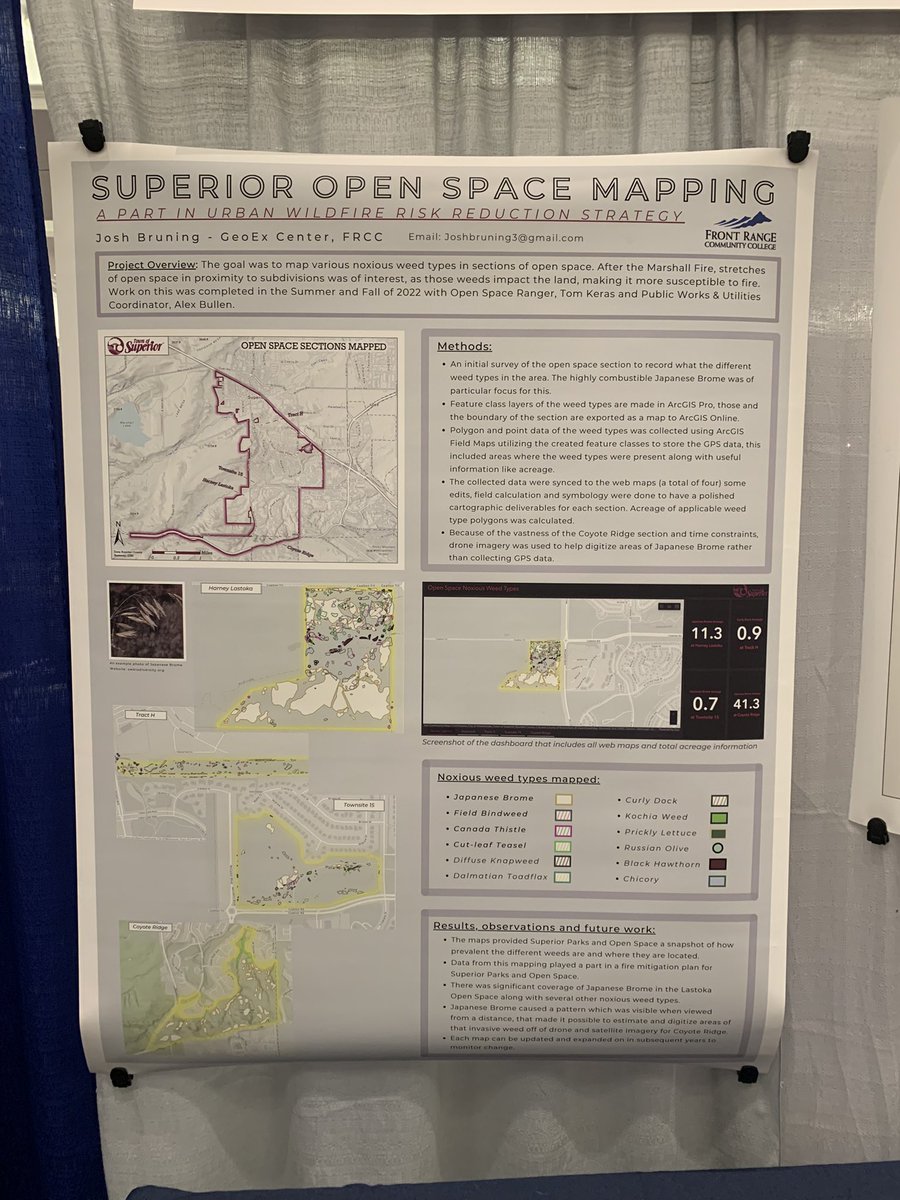 Taylor Dorn tweet media