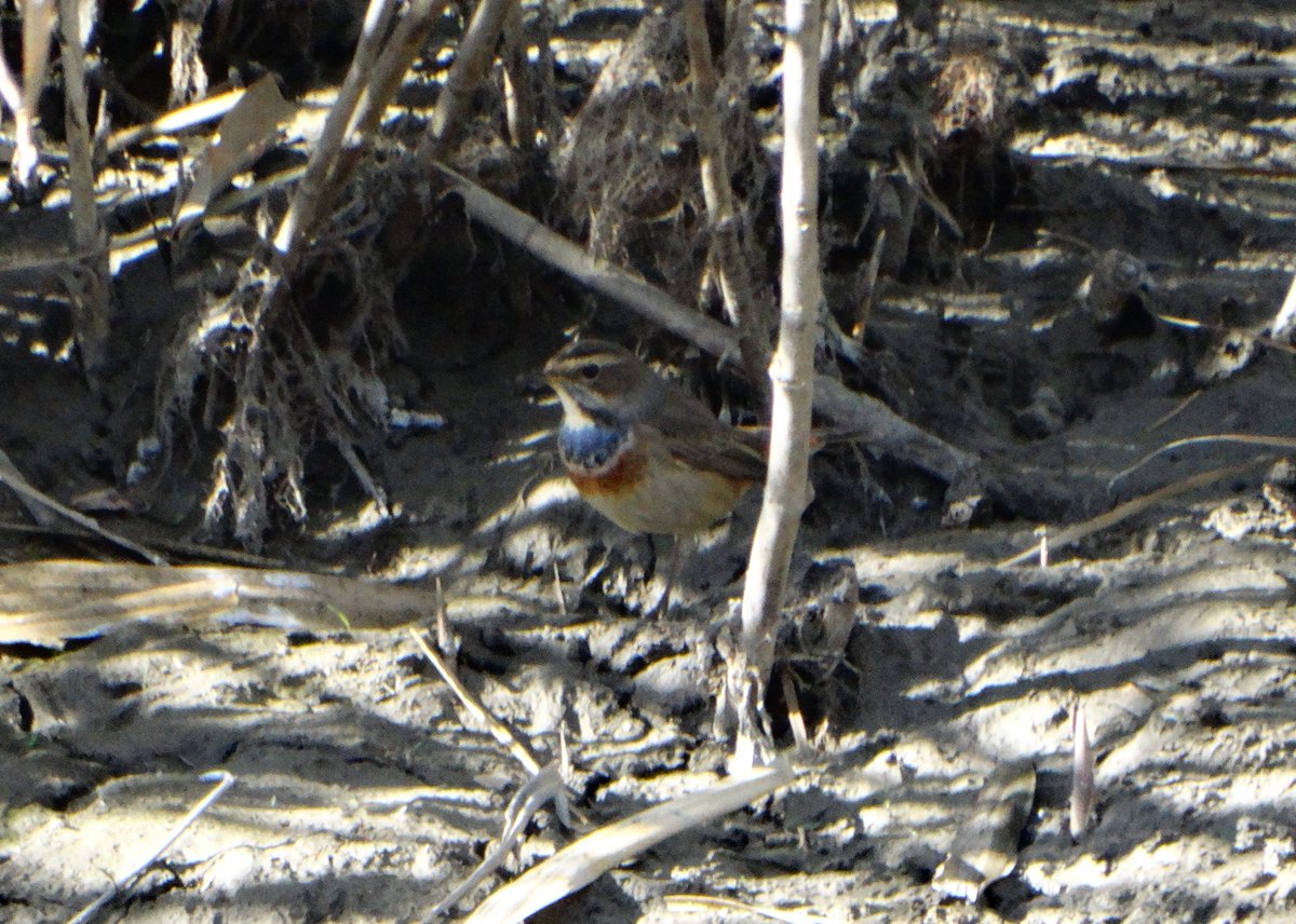 Umarım bir gün tekrardan İslahiye'de buluşuruz Mavigerdan.❤️‍🩹
🗓️29 Eylül 2022 📍İslahiye