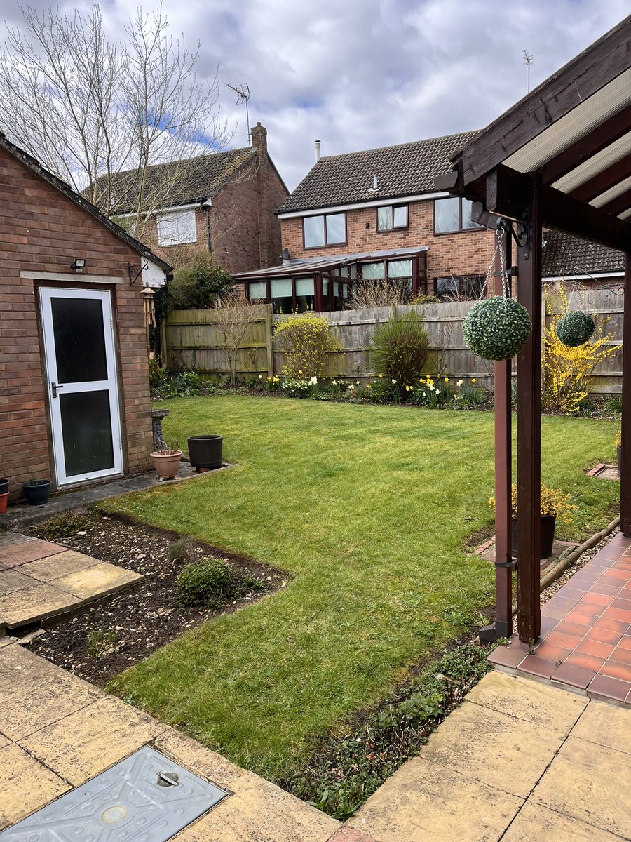 Then it was a #tidy cut again for these so full of #moss but look better when done 👍